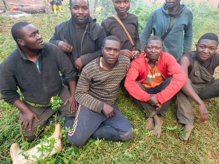 Ituri : plus de 100 ex-otages libérés à Mambasa par les FARDC lors d’une opération contre les ADF