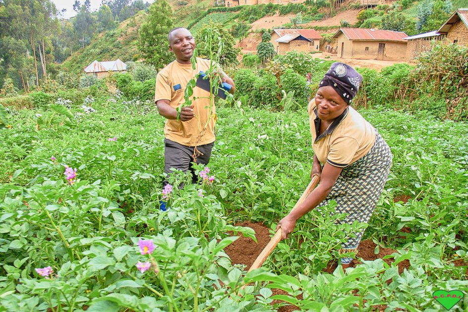 Butembo : l’agroécologie et l’agriculture hors sol recommandées face à la pression sécuritaire et à l’insécurité alimentaire