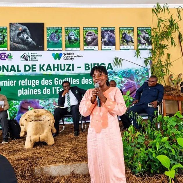 Sud-Kivu : la dégradation du Parc national de Kahuzi-Biega affecte le tourisme et les moyens de subsistance, selon l'organisation Provatour