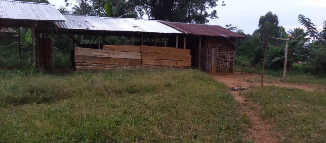 NORD-KIVU: INSÉCURITÉ A LUBERO, PLUS DE 3 000 ENFANTS SONT  PRIVÉS DE  L'ÉDUCATION