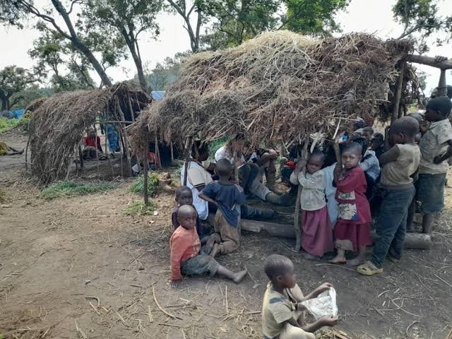 Sud-Kivu : à Kalehe, des centaines d’enfants déplacés menacés de rester hors de l’école à la rentrée de septembre