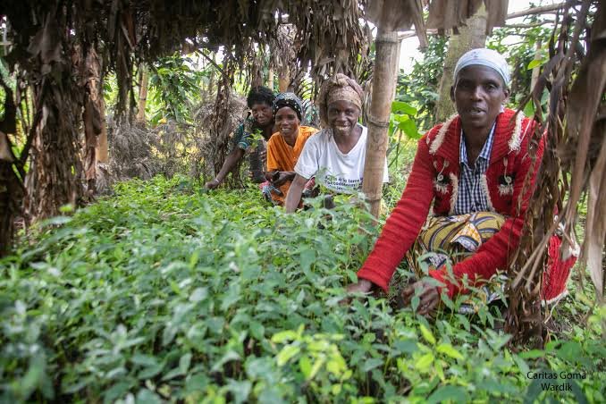 Bukavu : les femmes rurales de Kabare célèbrent leur journée par la plantation d’arbres