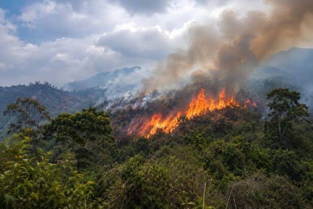 Sud-Kivu : la société civile alerte sur la multiplication des feux de brousse à Kabare