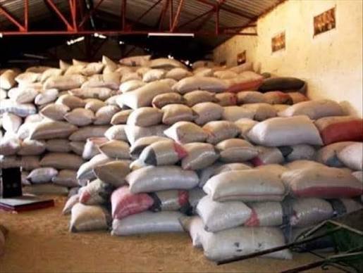 Maniema : 218 tonnes d'intrants agricoles obtenues pour renforcer la production des agriculteurs