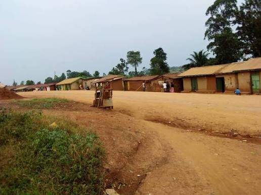 Ituri : un cultivateur de 55 ans porté disparu dans la chefferie de Batangi, les recherches se poursuivent à Irumu