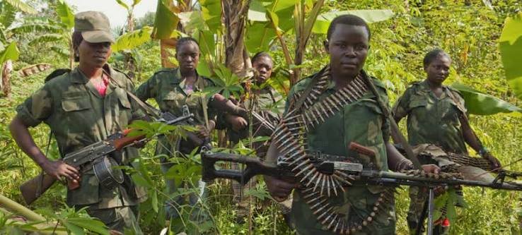 Mwenga : la Communauté de développement de Lwindja appelle les jeunes à rompre avec les groupes armés