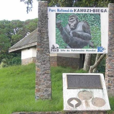 Bugorhe : « La population doit éviter de fréquenter le parc de Kahuzi-Biega », alerte Beni Mushengezi