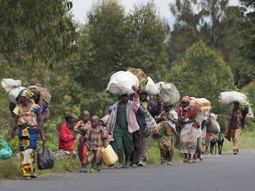 Kalehe : des déplacés et retournés appellent à une assistance humanitaire urgente face à des conditions de vie alarmantes