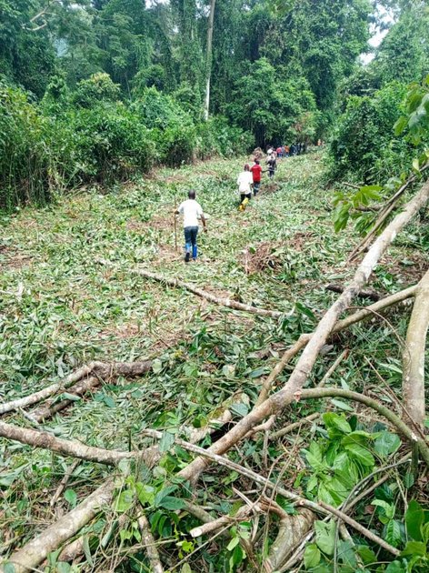 Beni : la société civile hausse le ton et exige la réhabilitation urgente de la route Mwenda-Kikingi