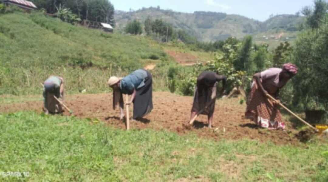 Lomami : à Luilu, des agriculteurs, majoritairement des femmes, dénoncent des pressions foncières et craignent de perdre leurs champs