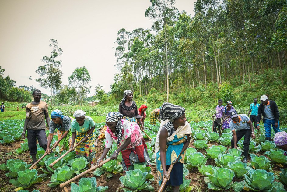 Lualaba : les résultats de la campagne agricole redonnent espoir aux agriculteurs de Lubudi