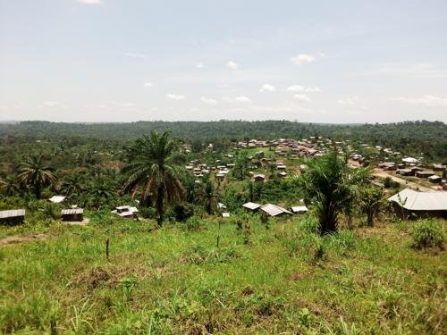 Madiwe : la société civile de Baswagha-Madiwe appelle la population à se procurer les documents officiels de propriété foncière pour prévenir les conflits