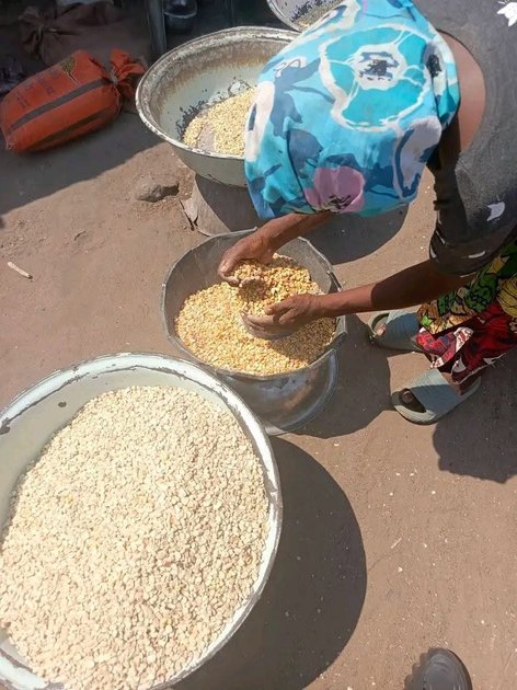 Rutshuru : le prix du maïs sec flambe sur les marchés de Kiwanja, les ménages inquiets