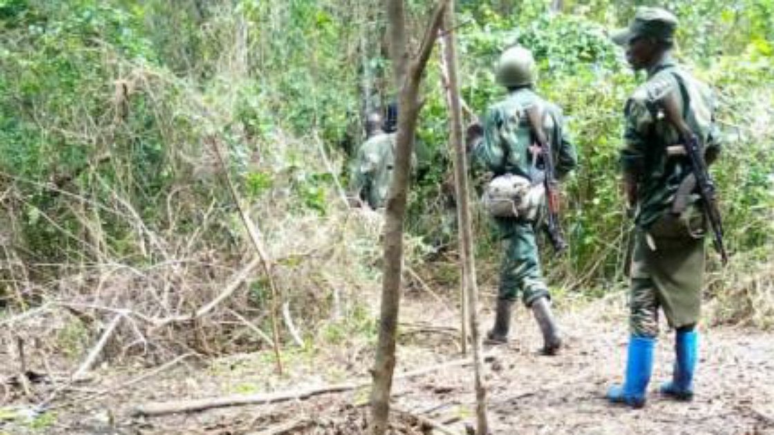 Ituri : des hommes armés signalés dans les forêts de Matumba et Byambwe à Mambasa