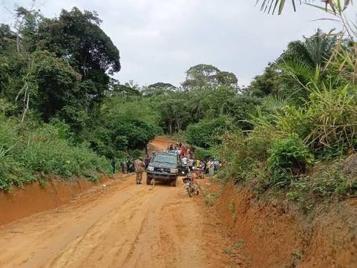 ÉCONOMIE : Désenclavement de Kindu, la reprise du trafic sur l’axe Kisangani–Ubundu entraîne une baisse des prix des matériaux de construction