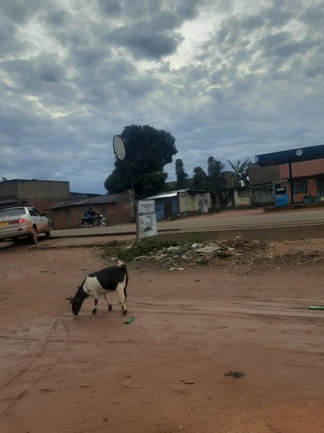 Oïcha : la population observe la journée « Stop Ebola »