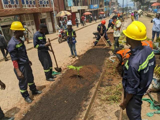 Sud-Kivu : Briquette du Kivu appelle les familles à planter des arbres avant la saison des pluies