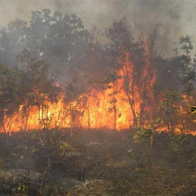 Sud-Kivu : les feux de brousse ravagent plusieurs zones à la fin de la saison sèche