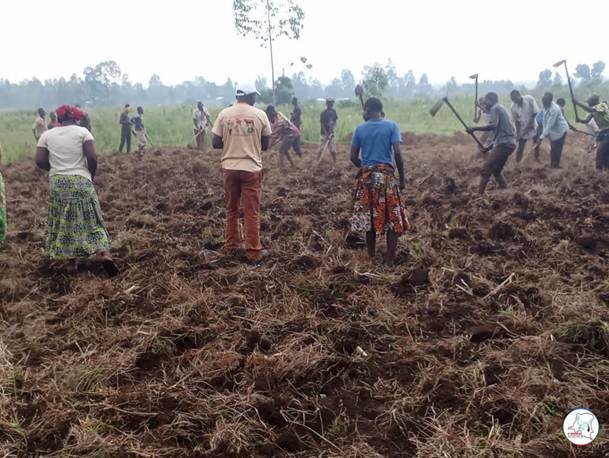 Maniema : des cultivateurs de l’îlot Kazabel sollicitent l’arbitrage de l’Assemblée provinciale après leur expulsion contestée